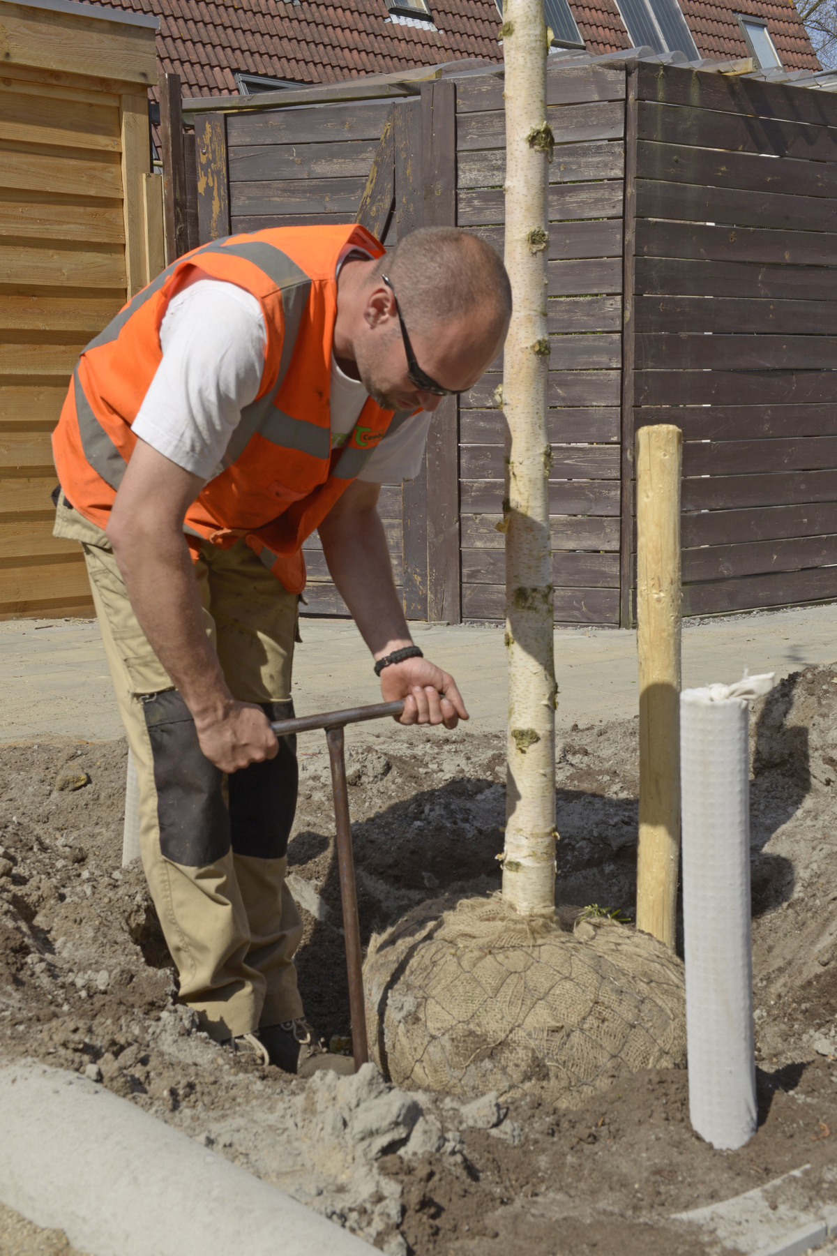 Foto waarop een boom herplant wordt in 'Kalf